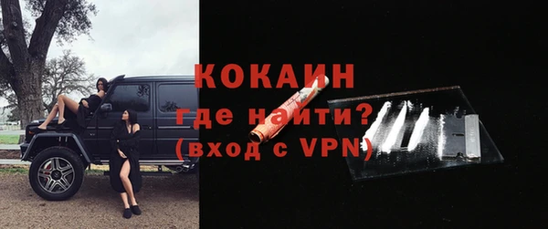 хмурый Арсеньев