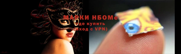 хмурый Арсеньев