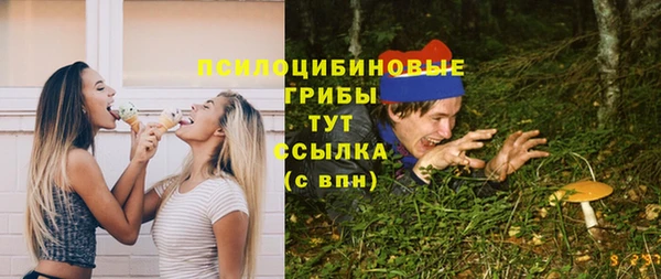 хмурый Арсеньев