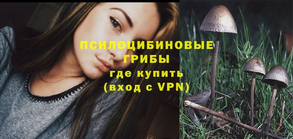 стафф Армянск