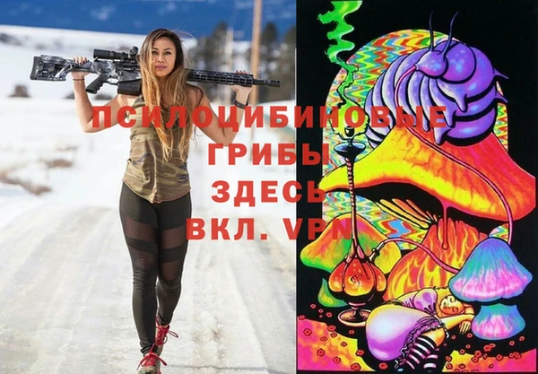 хмурый Арсеньев