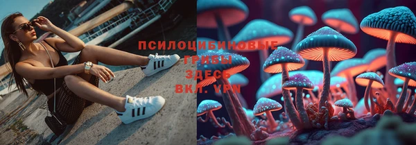 стафф Армянск