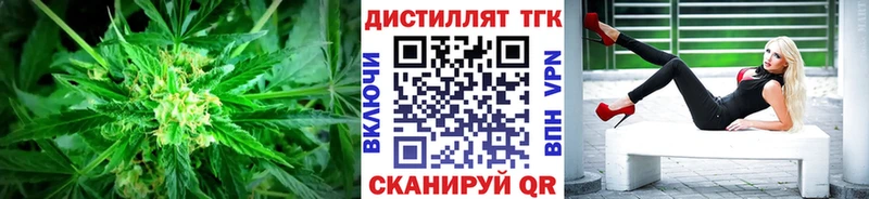 Дистиллят ТГК концентрат  магазин продажи наркотиков  Сясьстрой 